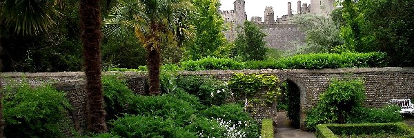 Zamek Arundel, Hrabstwo West Sussex, Anglia, Kwiaty Ogród, Drzewa
