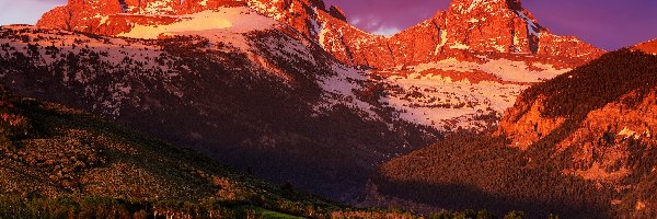 Stany Zjednoczone, Park Narodowy Grand Teton, Stan Wyoming, Łąki, Góry