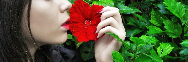 Dziewczyna, Czerwony, Profil, Hibiskusa, Kwiat