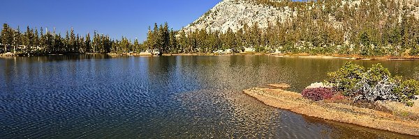 Góra Cathedral Peak, Park Narodowy Yosemite, Jezioro, Drzewa, Stan Kalifornia, Stany Zjednoczone