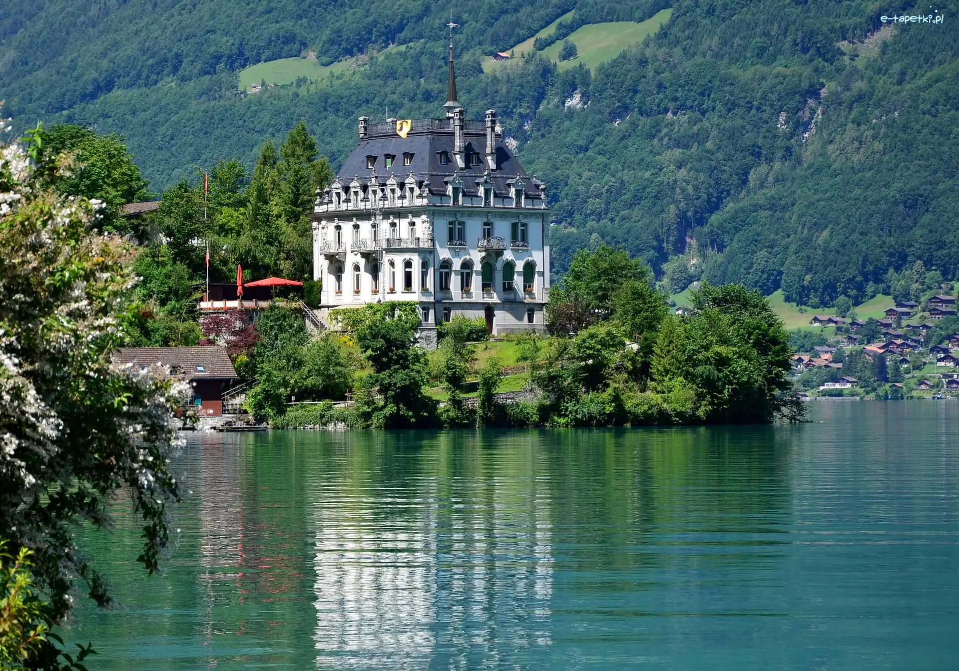 Jeziorem Iseltwald Nad Brienz Zamek Szwajcaria