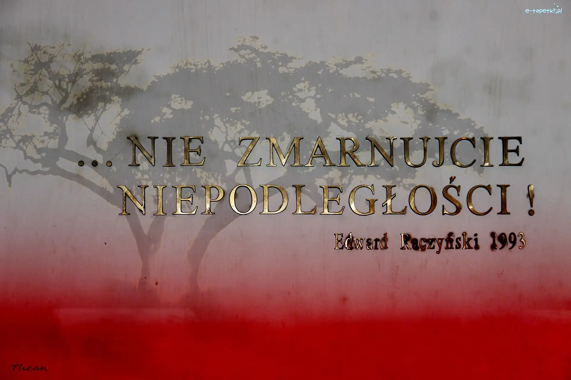 Patriotyzm, Napis, Nie Zmarnujcie Niepodległości