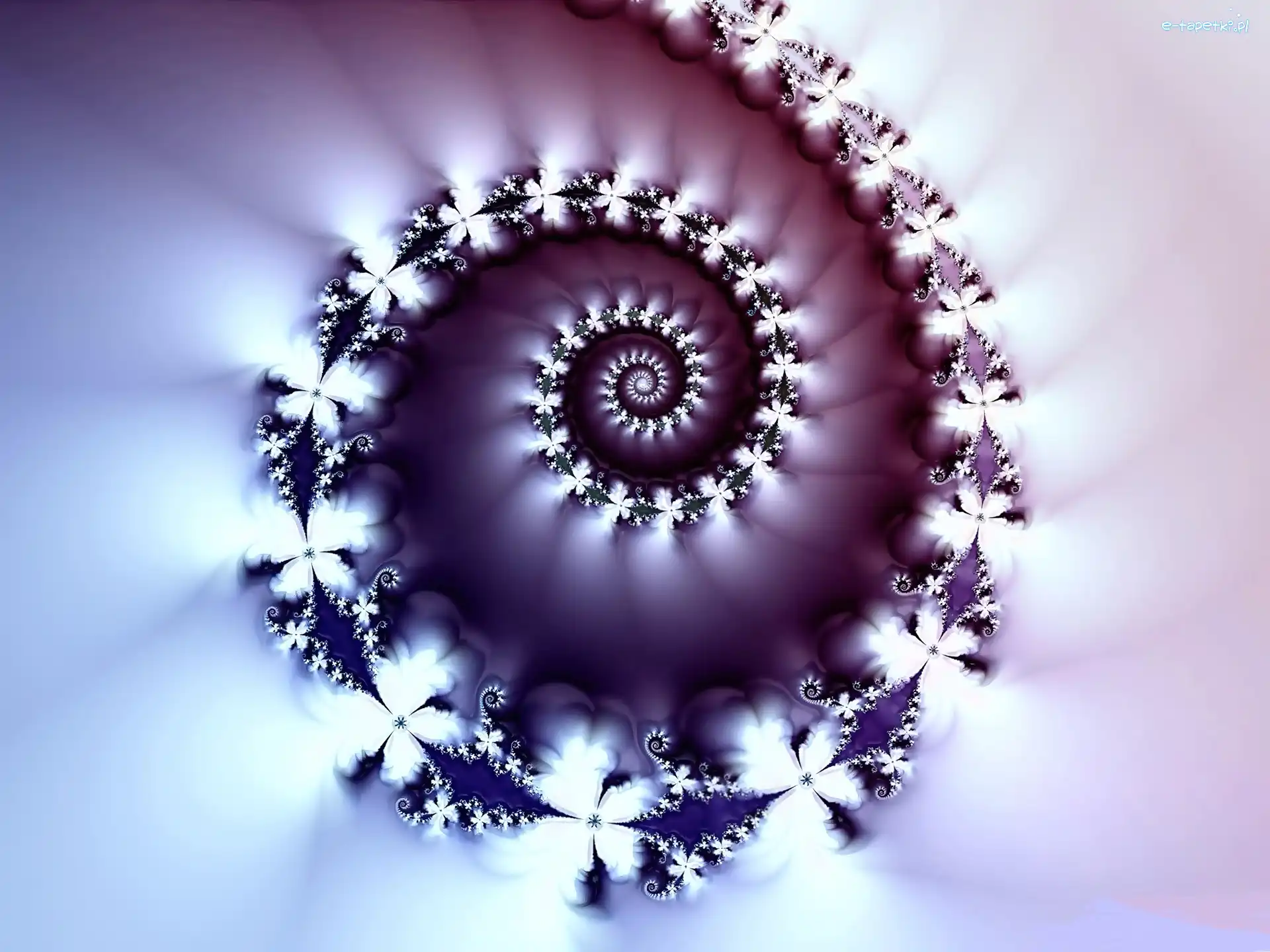 Spirala, Fraktal