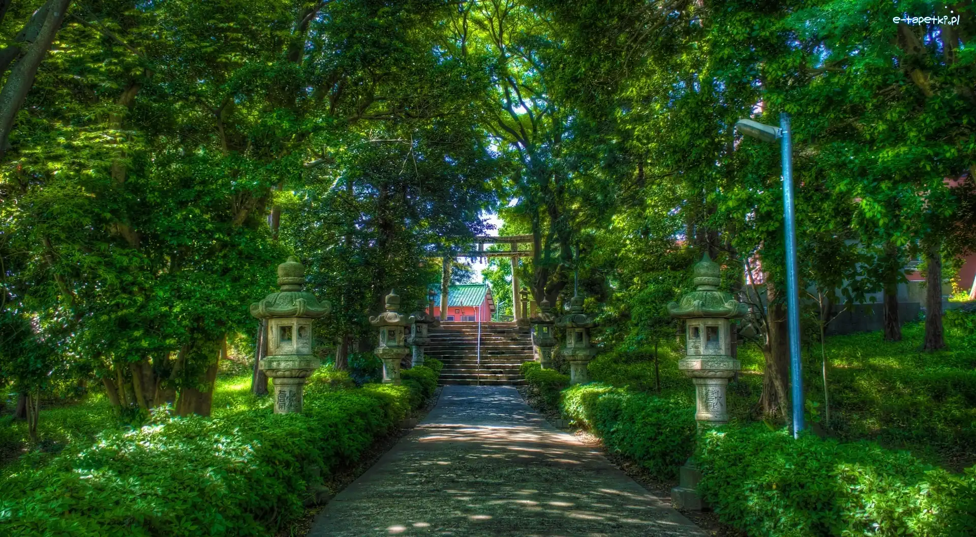 Schody, Chodnik, Park