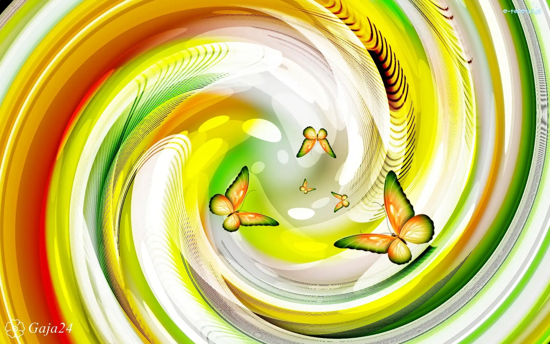 Spirala, Motyle, Perspektywa, Kolorowa