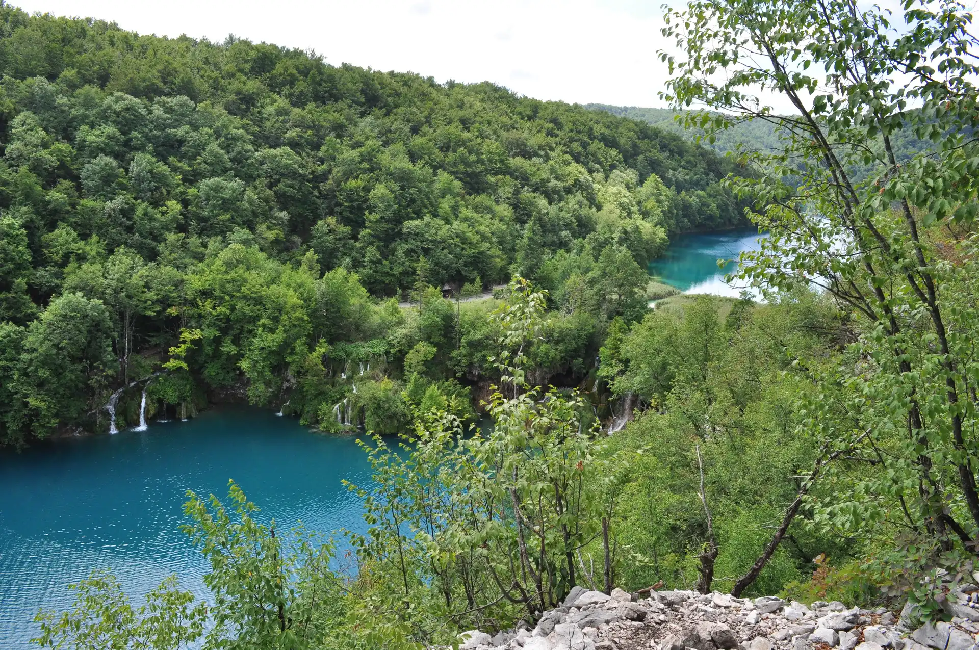 Park, Jezioro, Plitvickie, Europa, Chorwacja