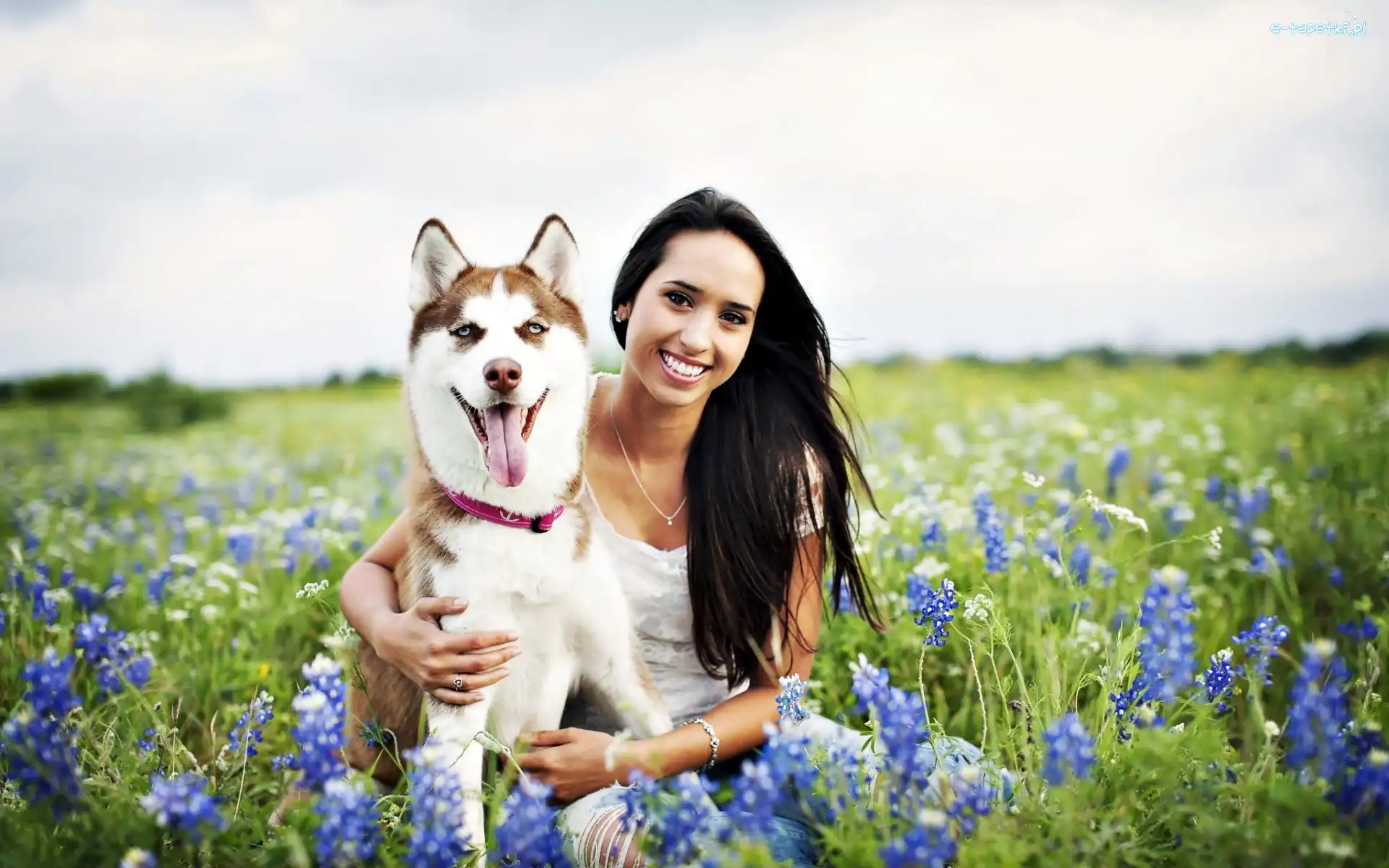 Kwiaty, Siberian Husky, Niebieskie, Szafirki, Pies, Kobieta