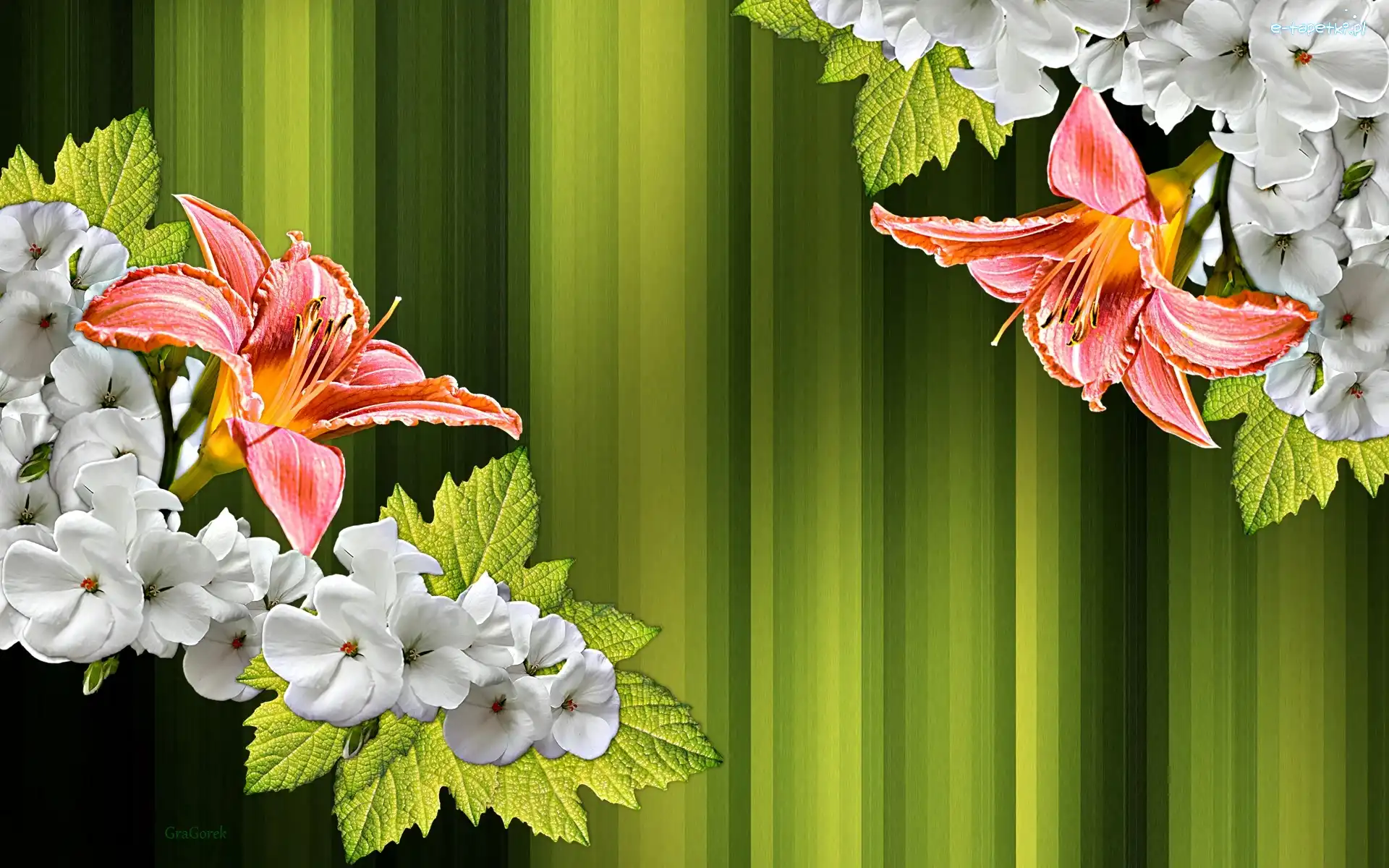 Liliowce, Kwiaty