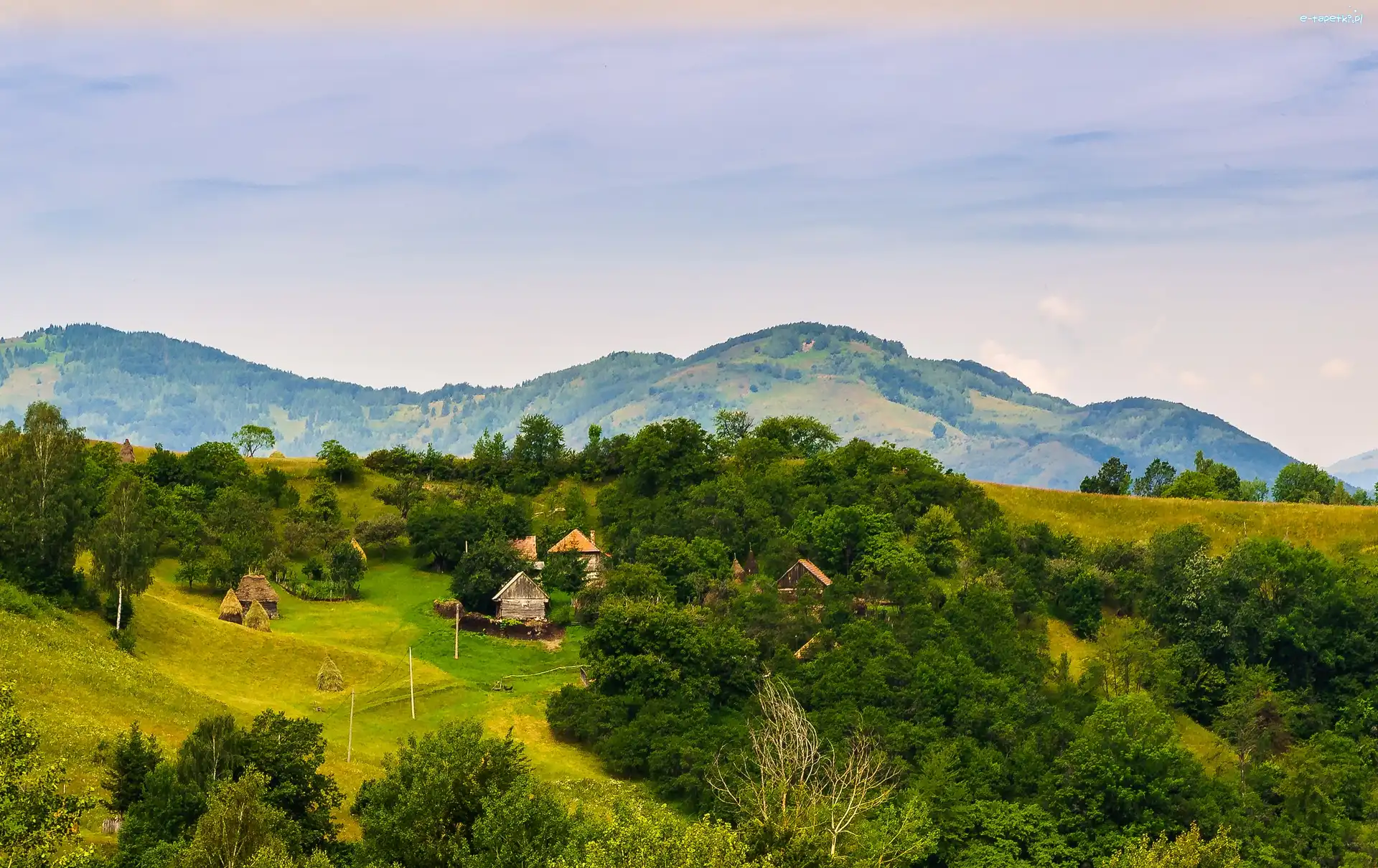 Drzewa, Zabudowania, Wyżyna