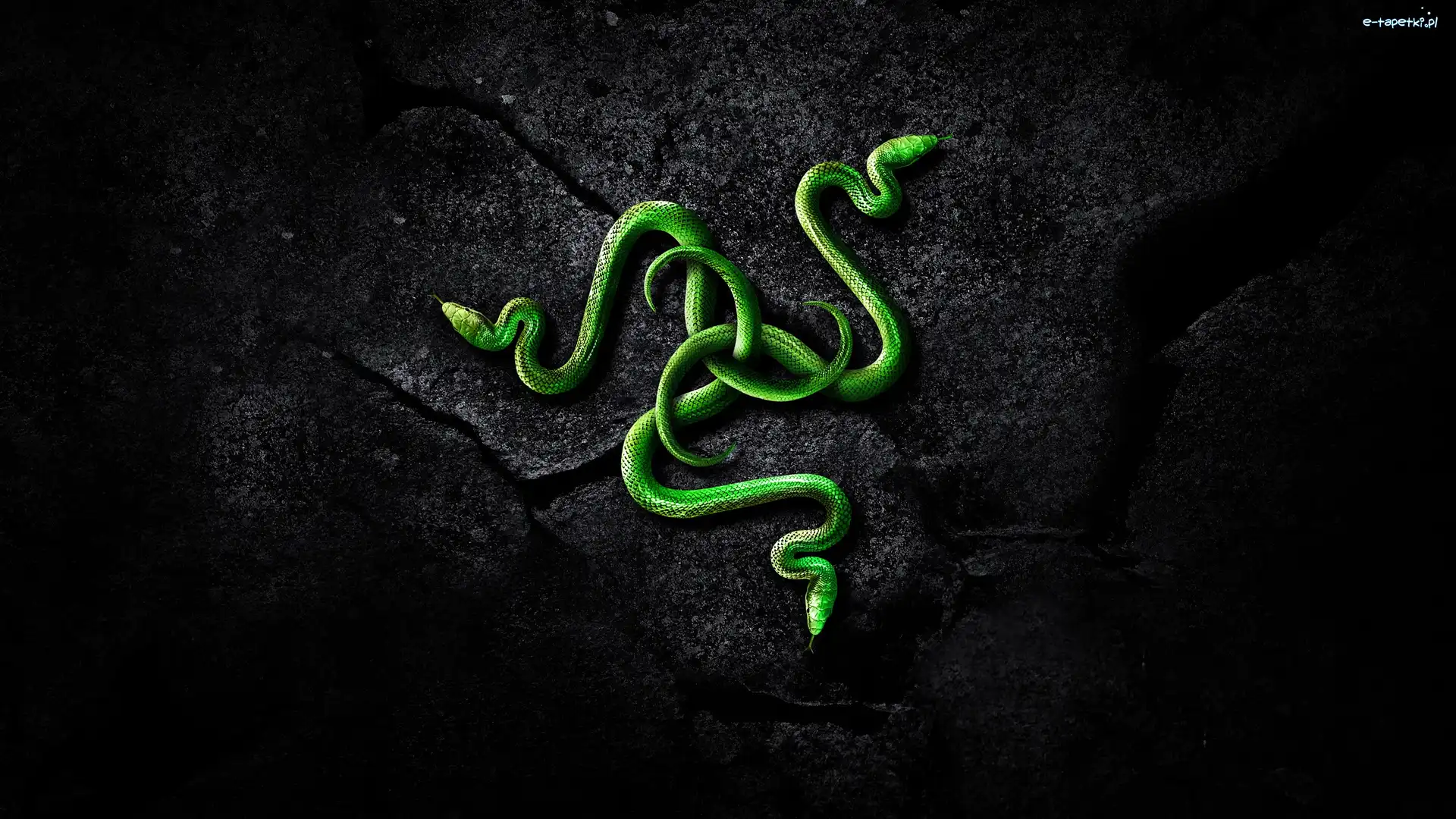 Węże, Razer, Logo, Grafika 3D