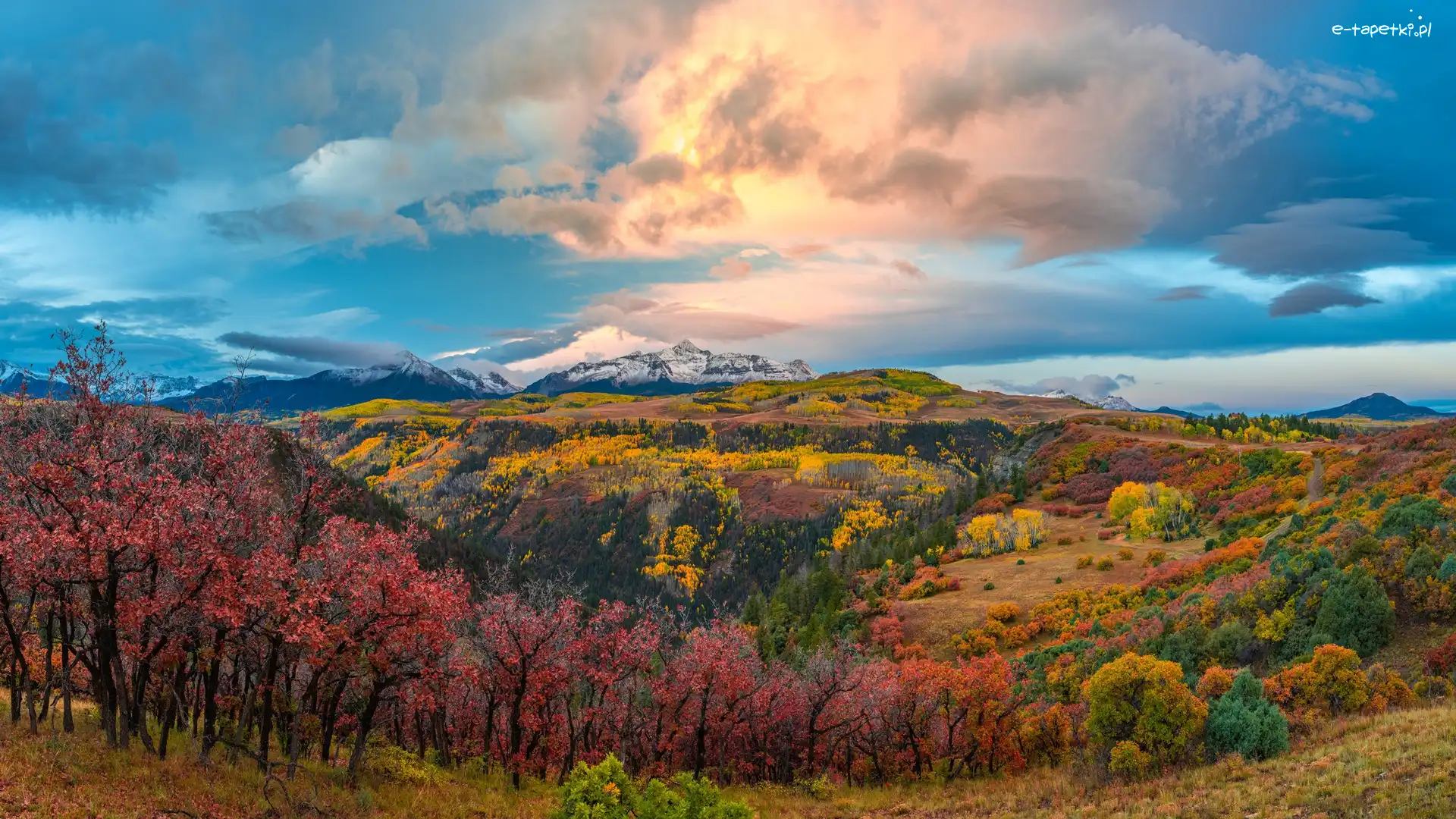 Drzewa, San Juan Mountains, Stany Zjednoczone, Kolorado, Las, Jesień, Chmury, Góry