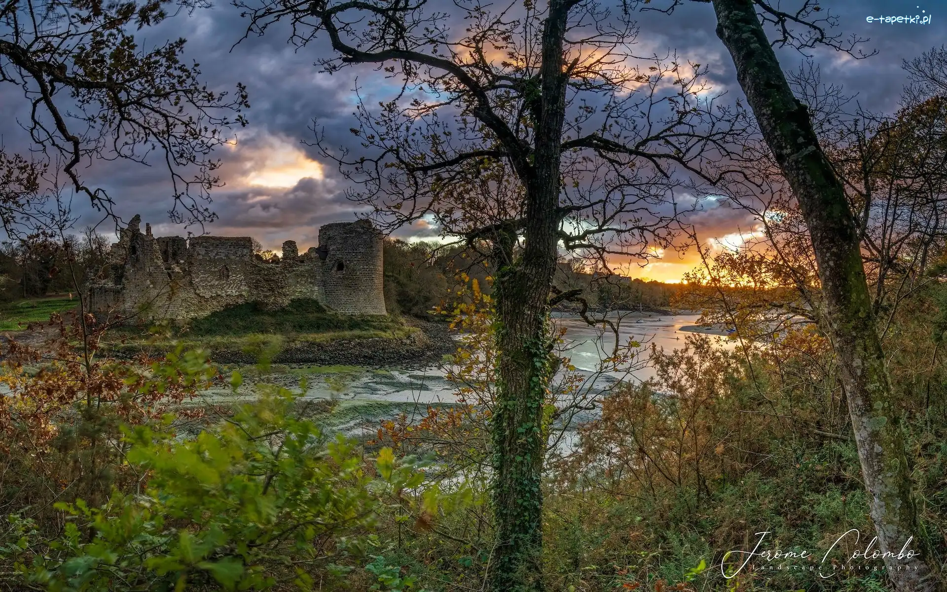 Ruiny, Bretania, Rzeka Arguenon, Drzewa, Crehen, Zamek, Chateau du Guildo, Francja