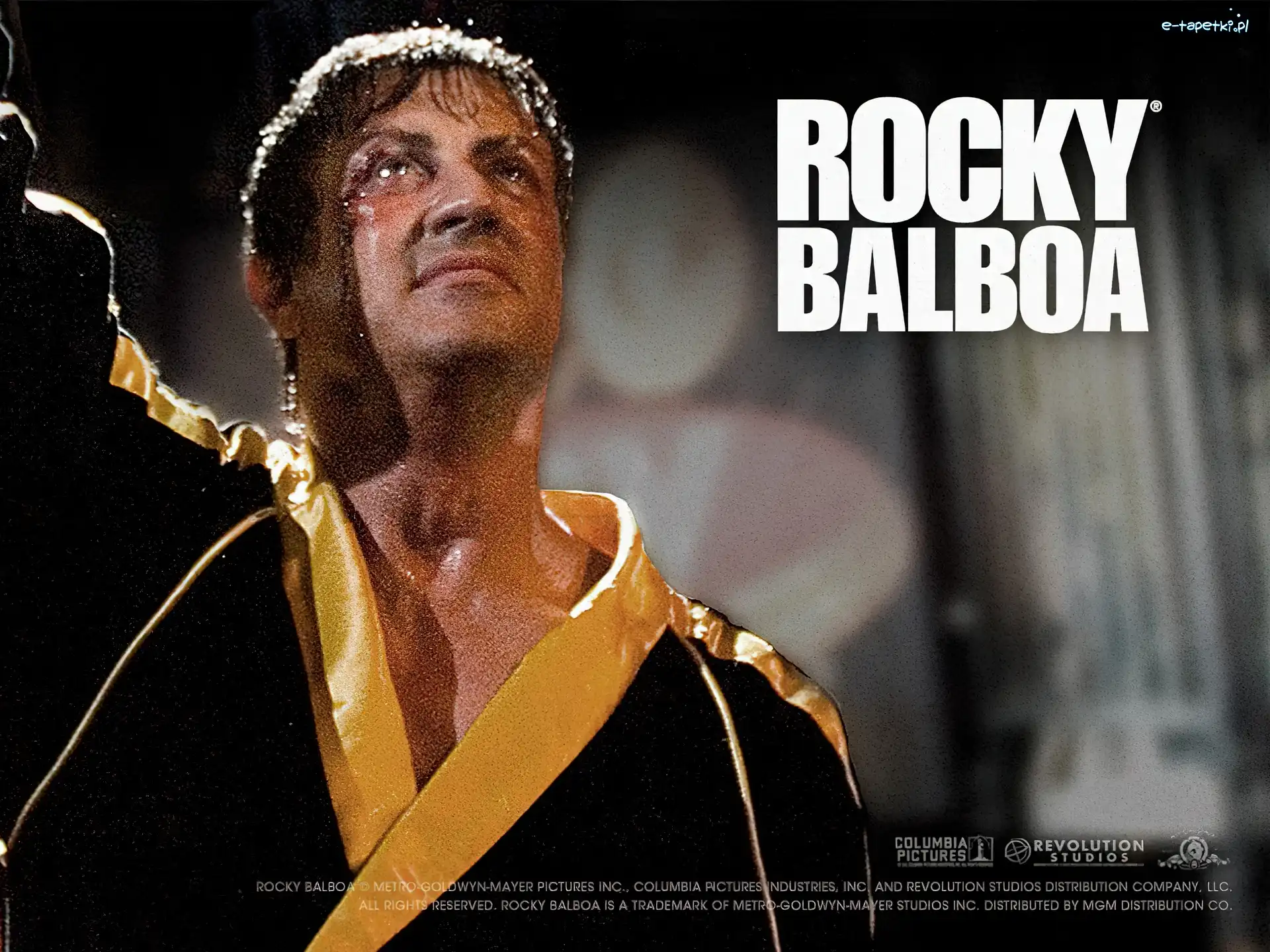 szlafrok, Sylvester Stallone, Rocky Balboa