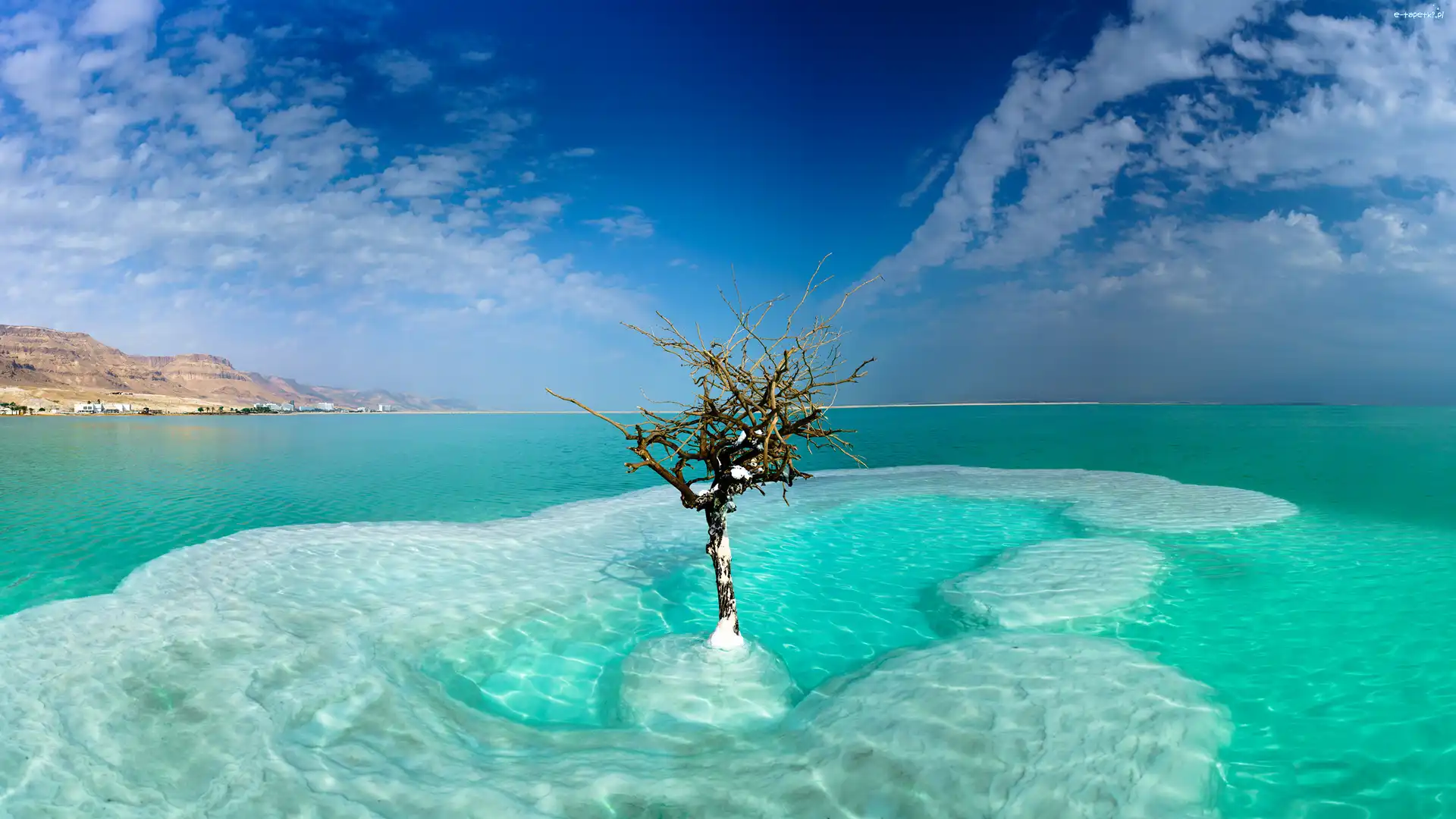 Morze Martwe, Niebo, Drzewko, Izrael