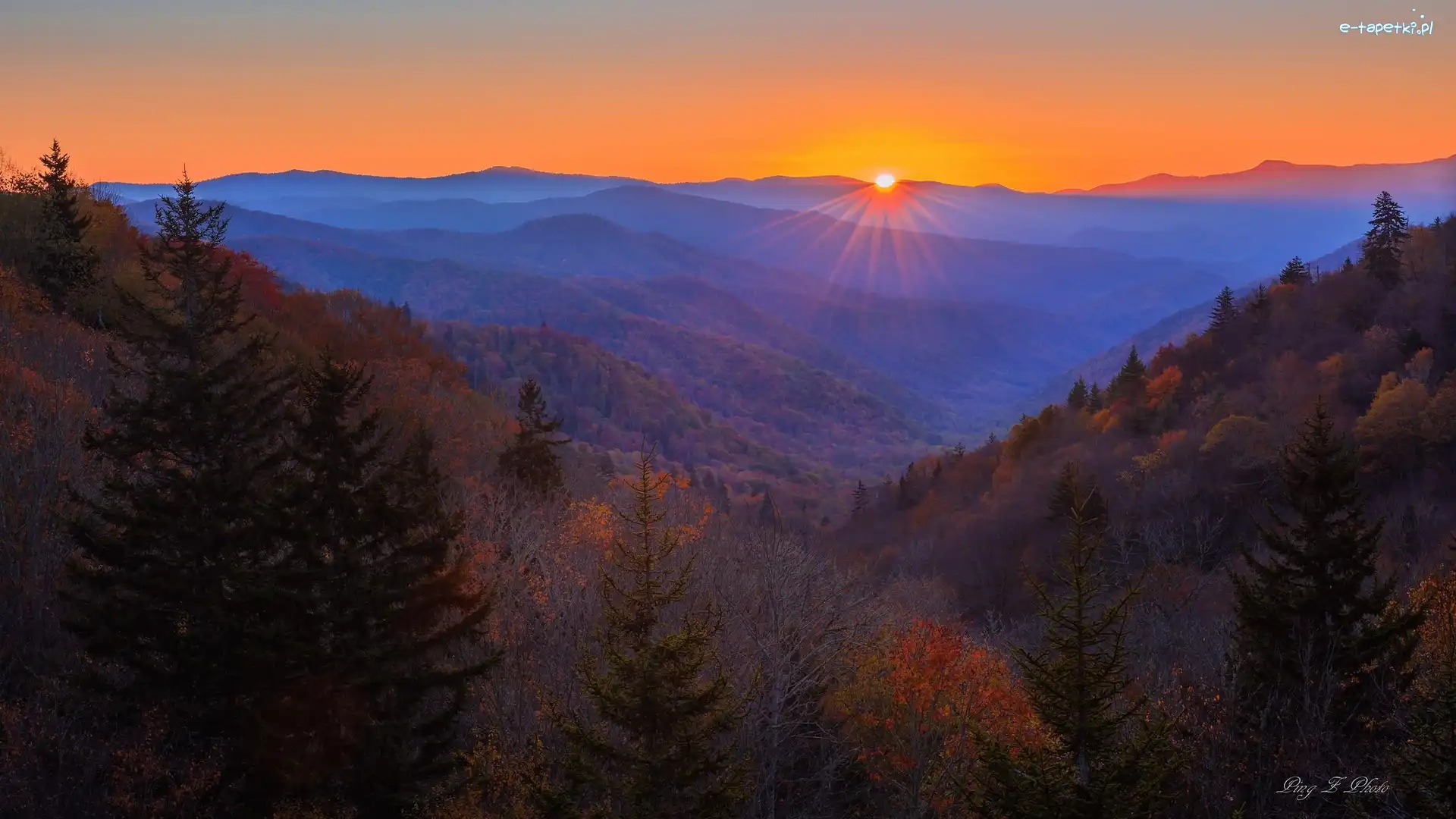 Las, Park Narodowy Great Smoky Mountains, Góry, Stan Karolina Północna, Stany Zjednoczone, Wschód słońca, Great Smoky Mountains
