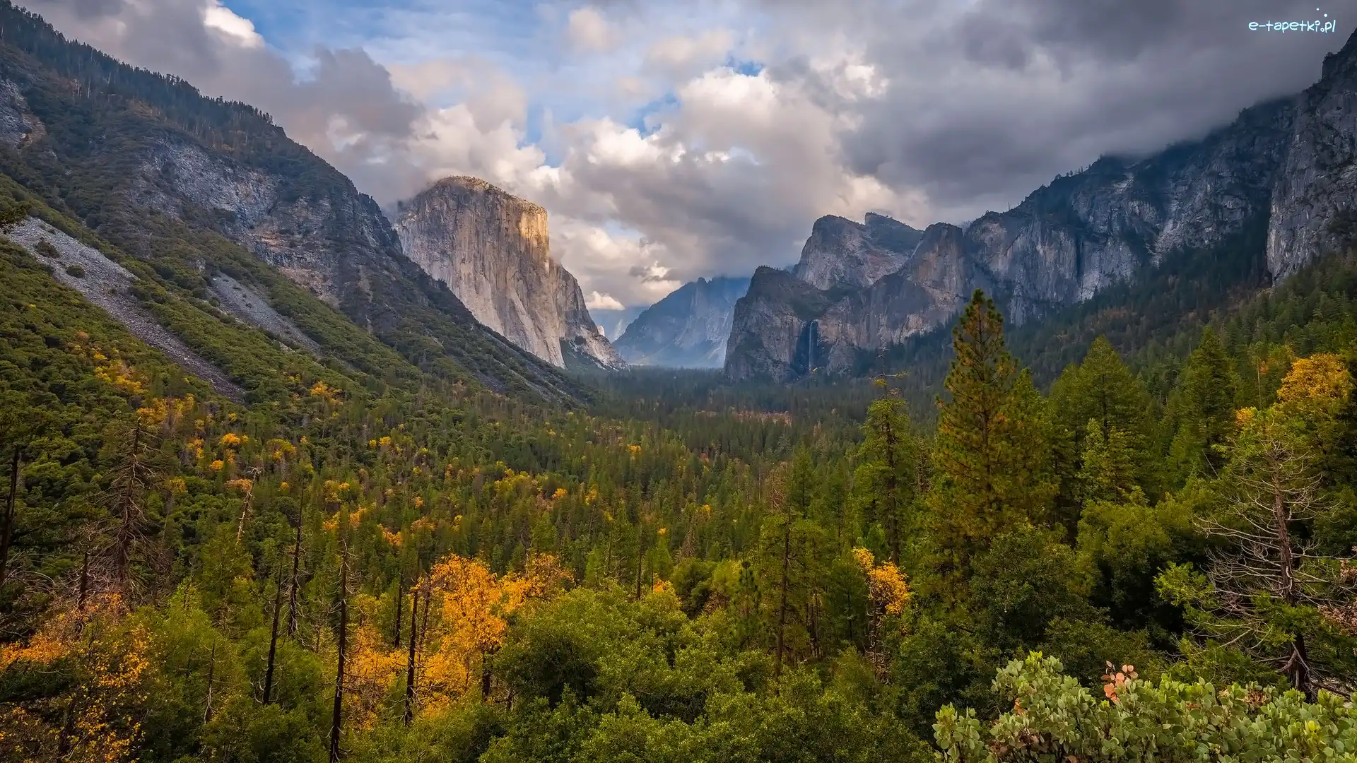 Park Narodowy Yosemite, Stany Zjednoczone, Kalifornia, Góry, Drzewa