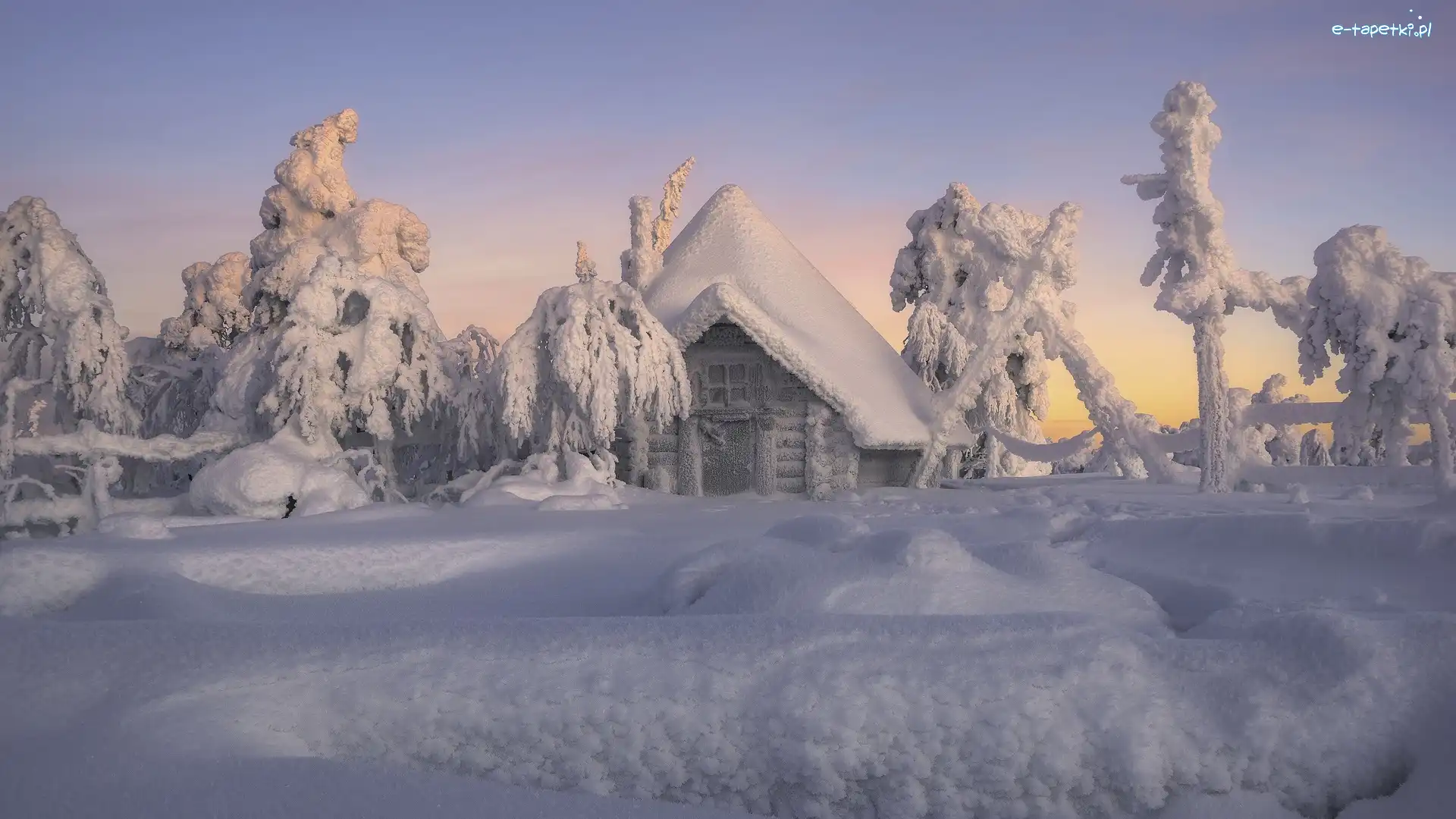 Zaspy, Dom, Drzewa, Śnieg, Ośnieżony, Zima