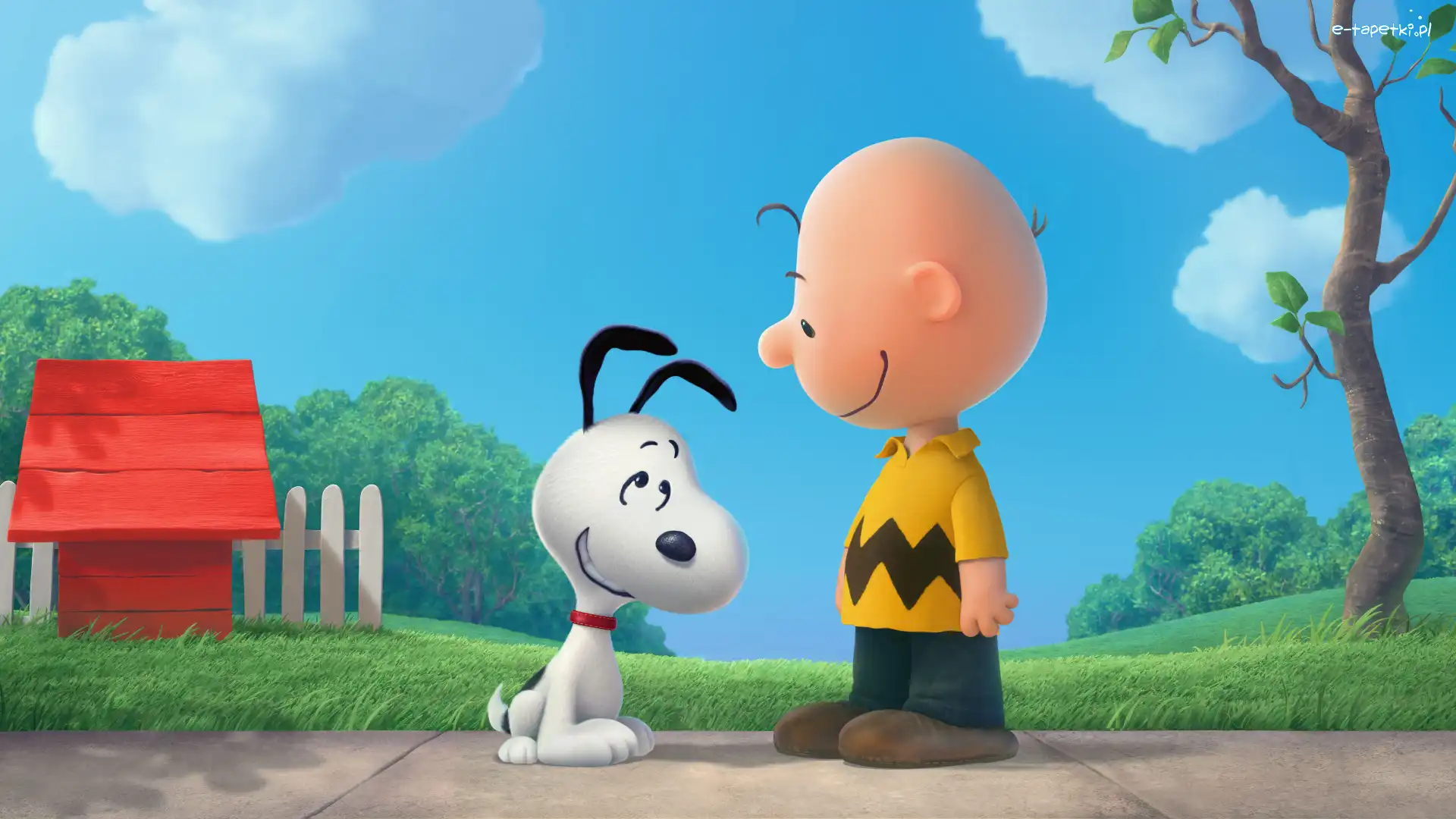 Chłopiec, Pies, Snoopy, Charlie Brown, Fistaszki, Film animowany