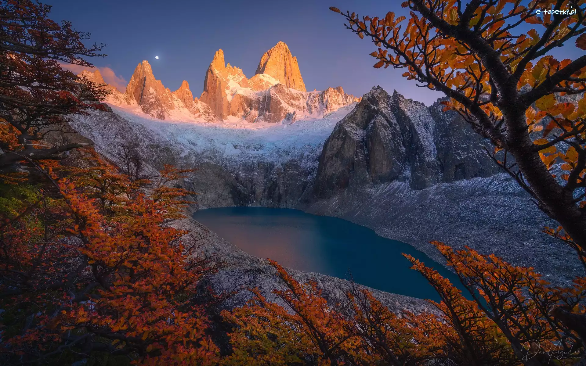 Drzewa, Góry, Szczyt, Patagonia, Argentyna, Jezioro, Fitz Roy