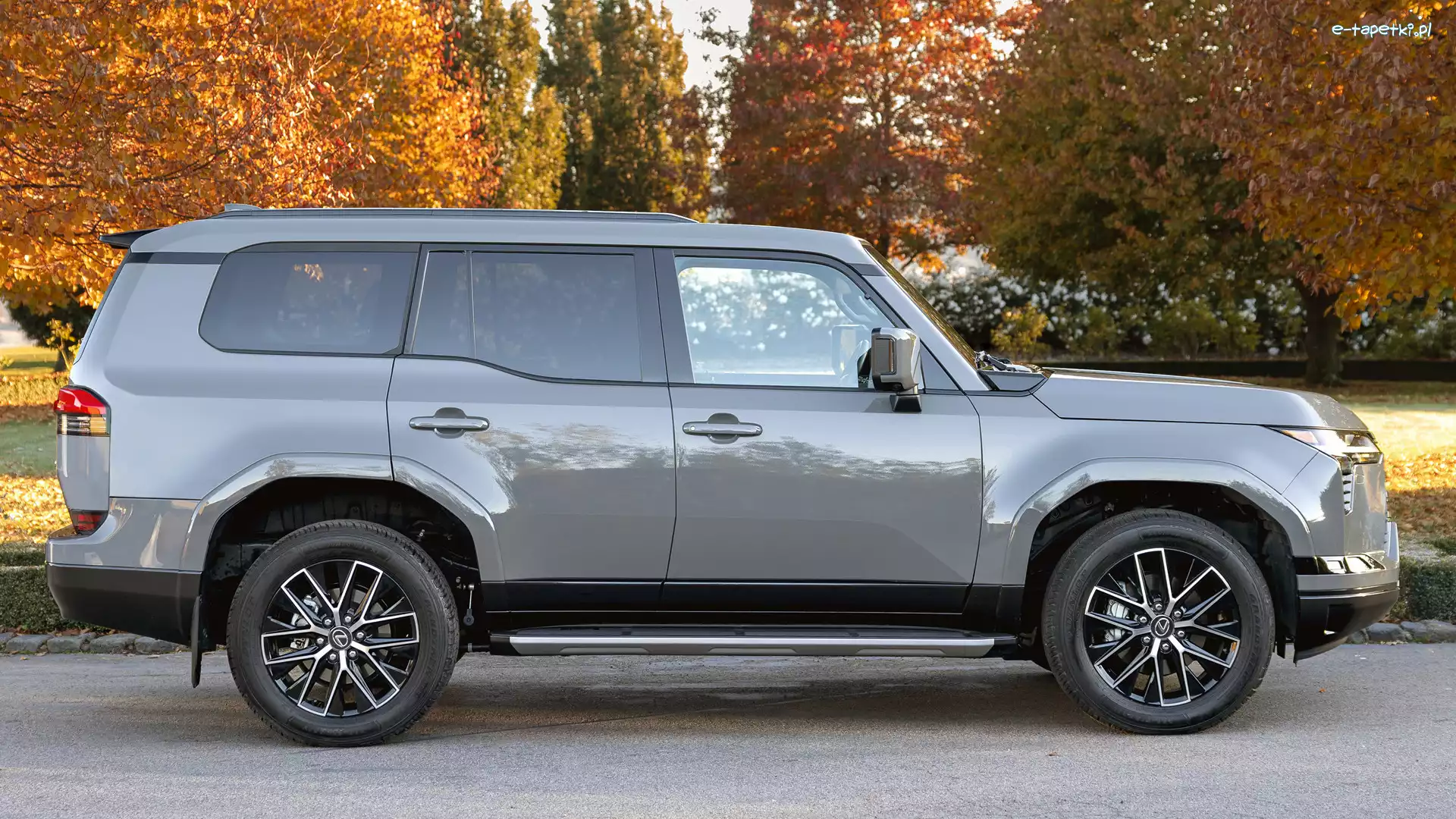 Bok, Lexus GX, Popielaty