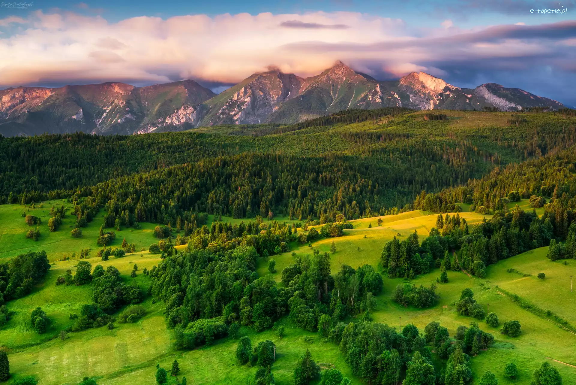 Wzgórze, Góry, Poranek, Chmury, Tatry, Lasy, Łąki, Słowacja