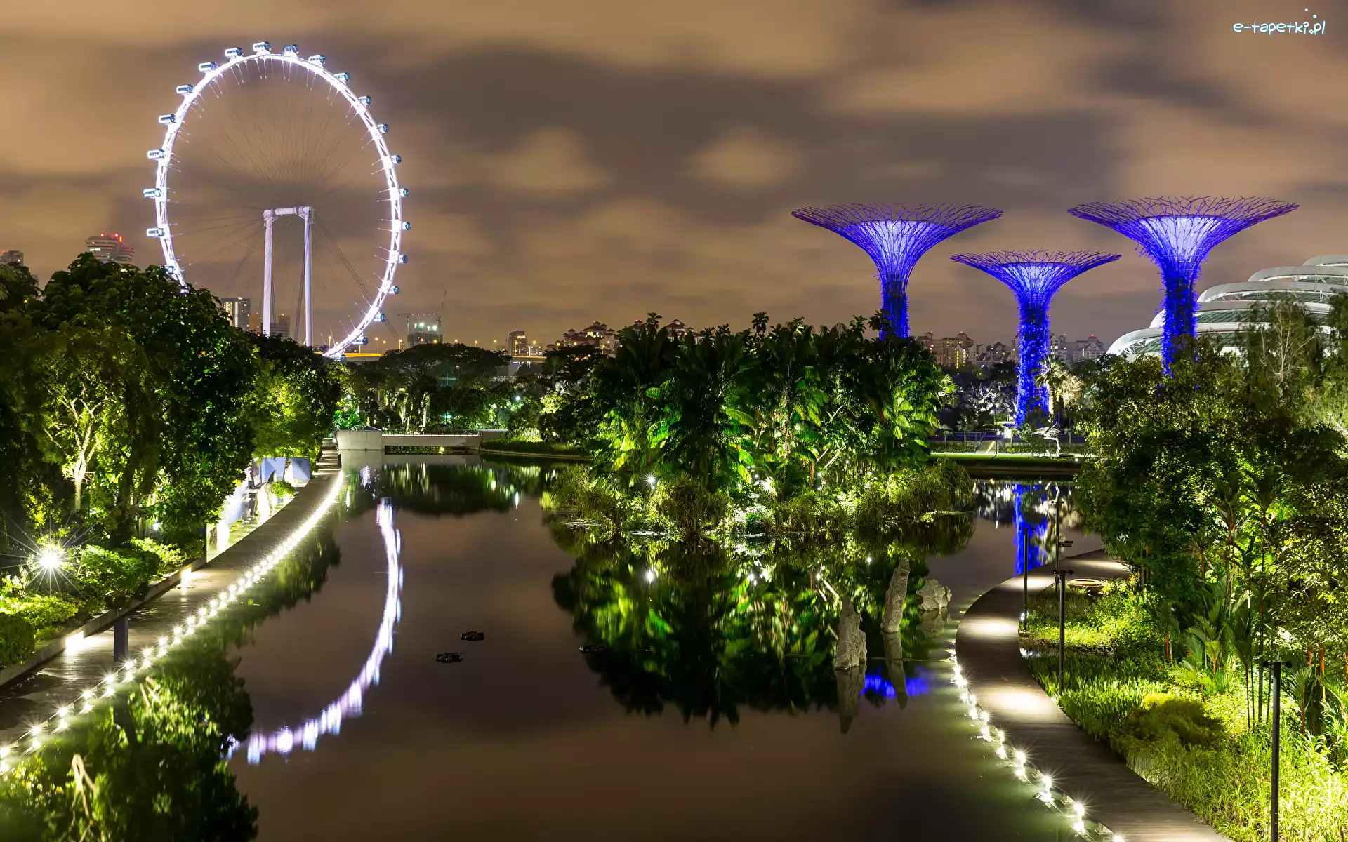 Ogród, Singapur, Gardens by the Bay, Staw