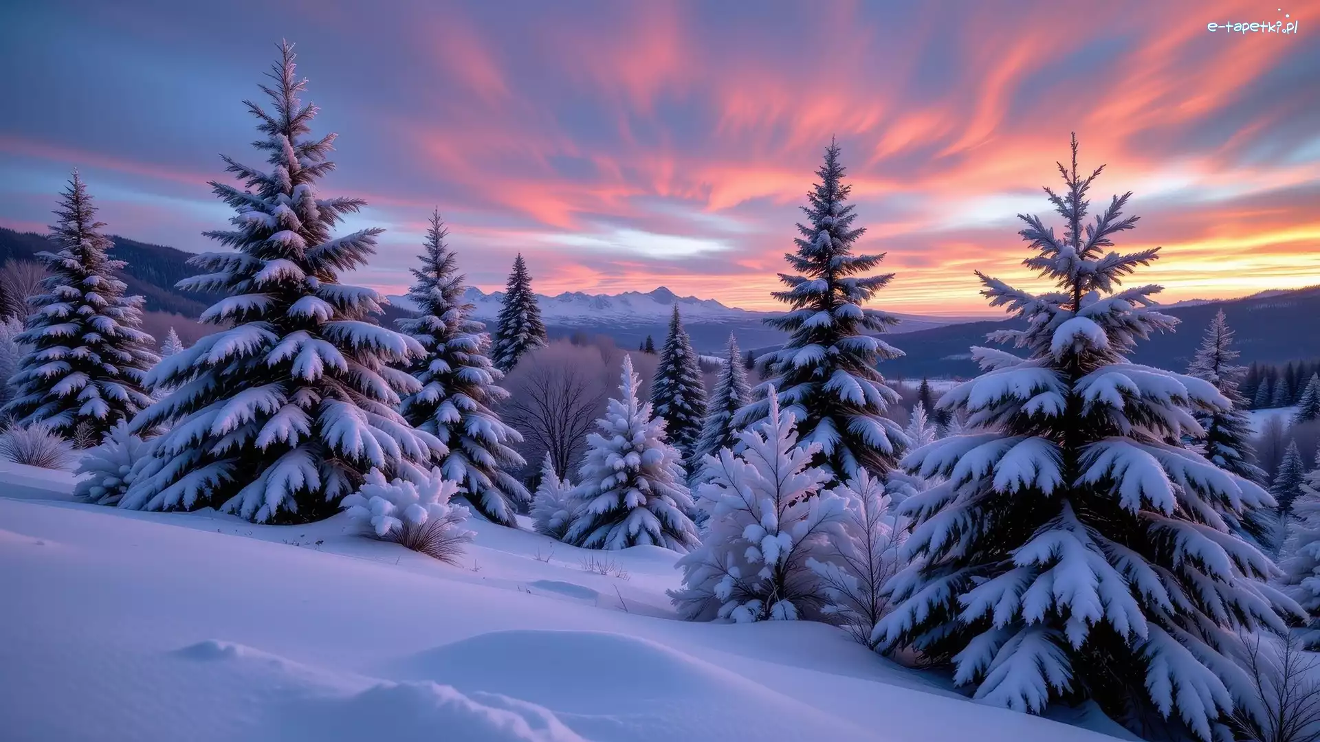 Wschód słońca, Ośnieżone, Zima, Zbocze, Drzewa