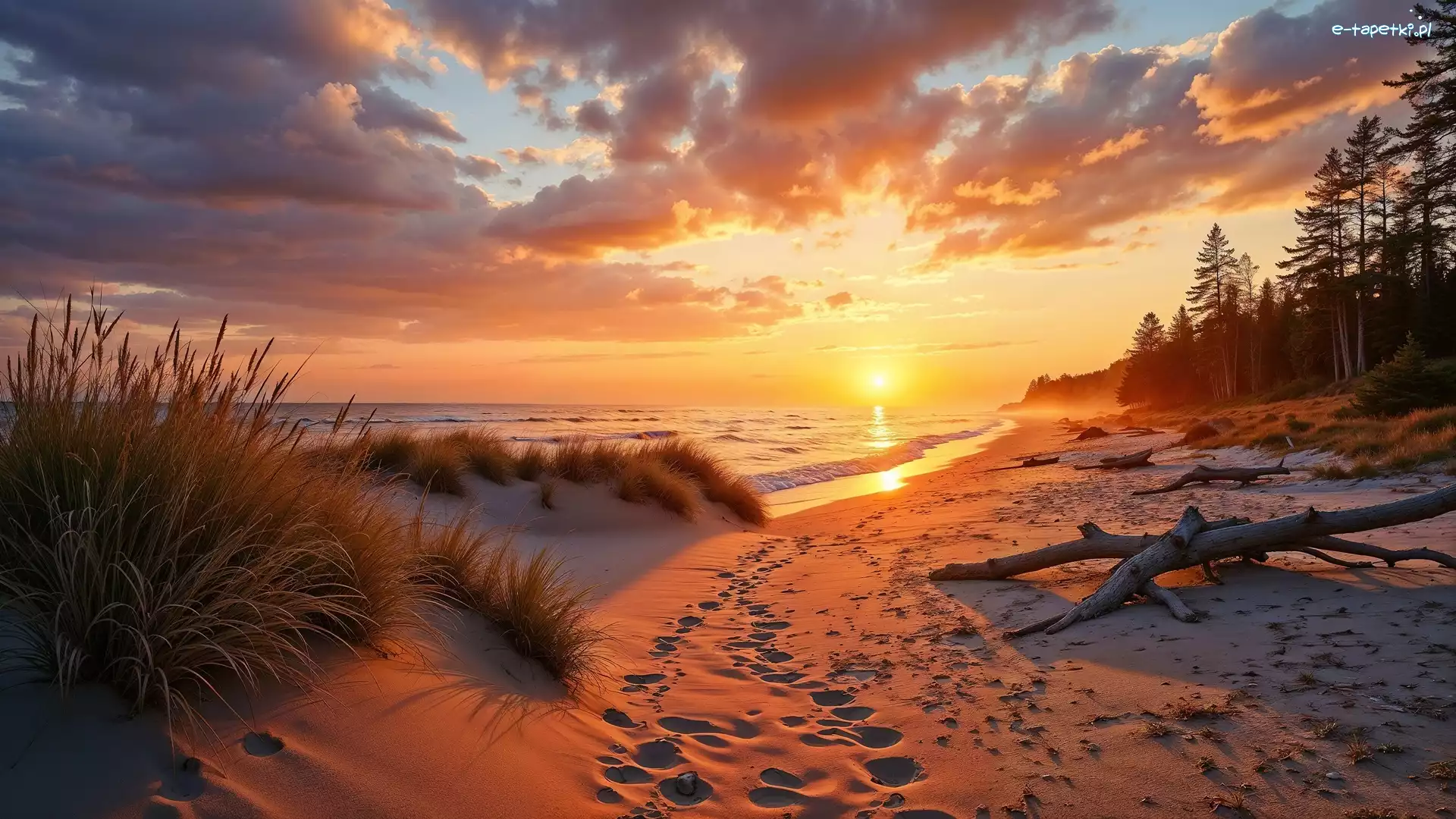 Plaża, Morze, Wydmy, Grafika AI, Zachód słońca