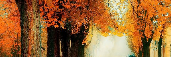 Jesień, Alejka, Ulica, Dozorca, Drzewa