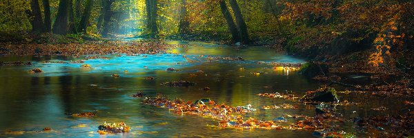 Rzeka, Jesień, Przebijające Światło, Las
