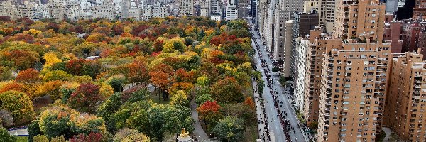 Manhattan, Jesień, Nowy Jork, Central Park