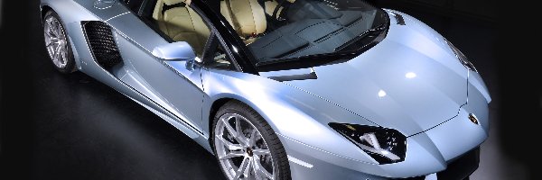 Aventador, Roadster, LP 700-4, Lamborghini