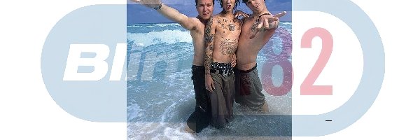 Blink 182, Lime, woda , zdjęcie