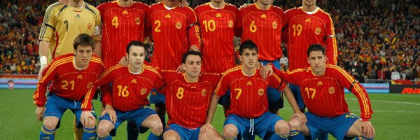 Euro 2012, Hiszpanii, Drużyna