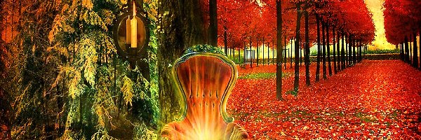 Krzesło, Park, Jesień
