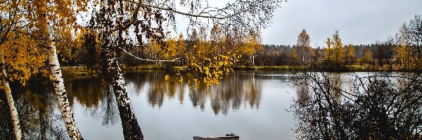 Rzeka, Pomost, Brzoza, Jesień