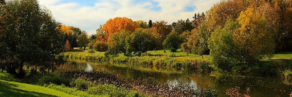 Rzeka, Kolorowe, Park, Jesień, Drzewa