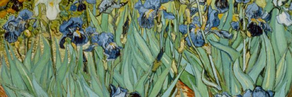 Obraz, Vincent van Gogh, Irysy