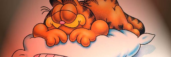 Garfield, Śpiący, Poduszka