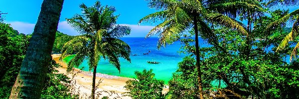 Plaża, Tajlandia, Palmy, Morze