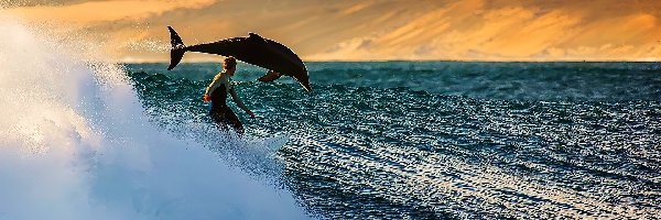 Windsurfing, Fala, Delfin