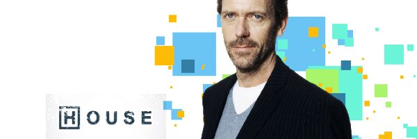 Hugh Laurie, Serial, Dr House