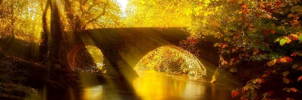 Rzeka, Przebijające, Most, Jesień, Światło