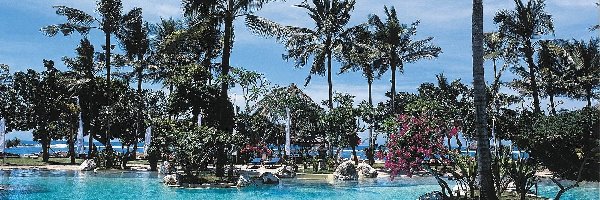 Palmy, Bali, Basen, Morze