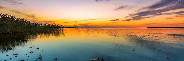 Zachód Słońca, Szuwary, Jezioro