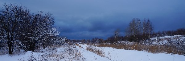 Zima, Drzewa, Śnieg, Chmury, Ciemne