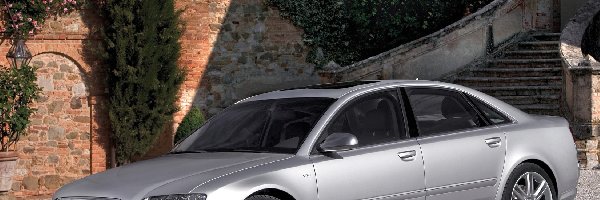 D3, Audi A8