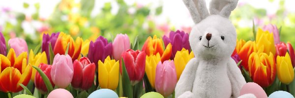 Wielkanoc, Pisanki, Jajka, Pluszowy Króliczek, Tulipany
