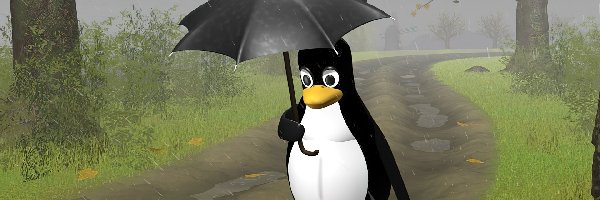 Parasol, Linux, Droga, Pingwin