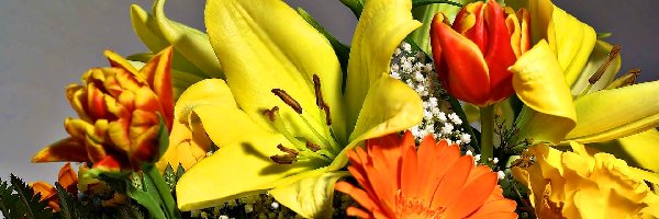 Bukiet, Lilie, Kwiatów, Gerbery, Tulipany